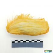 620imageIMG 20230811 113851(2).jpg