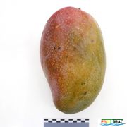 88imageIMG 4769.JPG