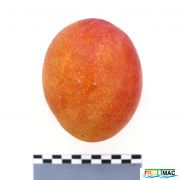 440imageIMG 2101(2).JPG