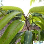 440imageP1230237 (2).JPG