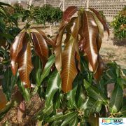 53imageIMG 20240717 090430(1).jpg