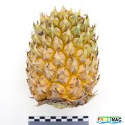 898imageIMG 5789.JPG