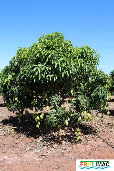 Archivo:625imageIMG 0863.jpg