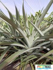 896imageIMG 20231108 111508.jpg