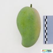 629imageIMG 1111.JPG