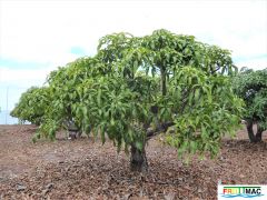 105imageP1230240 (2).jpg