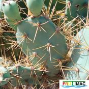 485imageIMG 20241218 124547.2.jpg