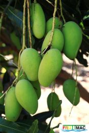 625imageIMG 0865.jpg