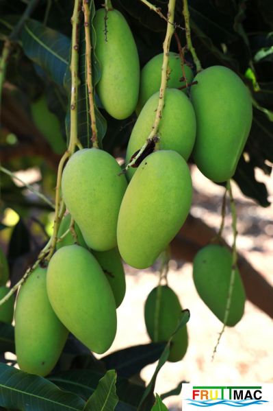 Archivo:625imageIMG 0865.jpg