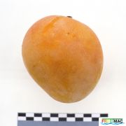 110imageIMG 4739.JPG