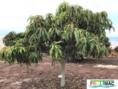 624imageIMG 3964 (2).JPG