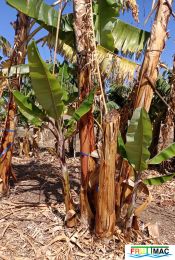 1021imageIMG 20250321 112641.1111.jpg