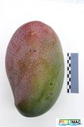 88imageIMG 4330.JPG