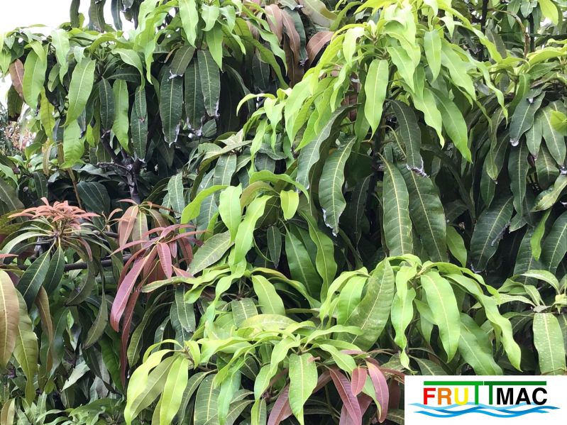 Archivo:624imageIMG 3965.JPG