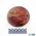 Miniatura de la versión del 06:24 18 jun 2025