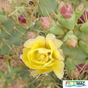 485imageIMG 20250508 173802.111.jpg