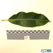 611imageIMG 0586.JPG