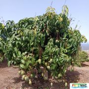 631imageIMG 20240716 115725(1).jpg