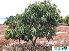 622imageIMG 3995.JPG