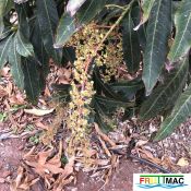 621imageIMG 4010.JPG