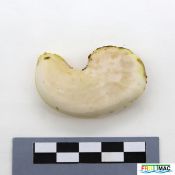 85imageIMG 3116.JPG