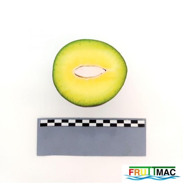 Archivo:112imageIMG 20230718 155442 (2).jpg