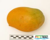 620imageMalllika IMG 4662.jpg