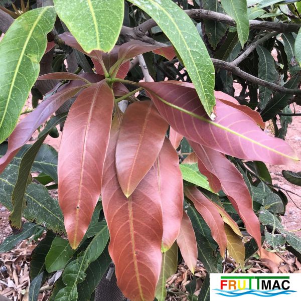 Archivo:621imageIMG 4005 (2).JPG