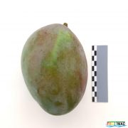 85imageIMG 20230821 124735(2).jpg
