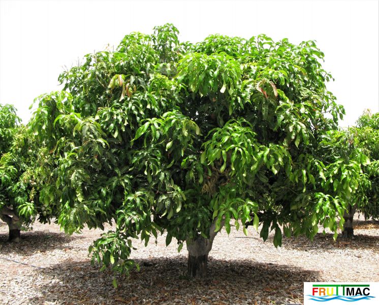 Archivo:105imageIMG 6852 (3).jpg