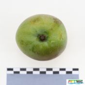 115imageIMG 4345.JPG