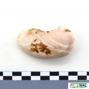 115imageIMG 4854.JPG