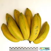 202imageIMG 1521.11.JPG