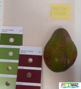 315imageMO.LV001 FRUTA (1)min.jpg