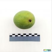 95imageIMG 20230809 134759 (2).jpg