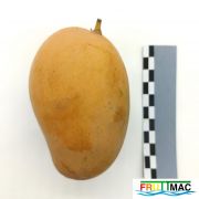 621imageIMG 20230811 114020(2).jpg