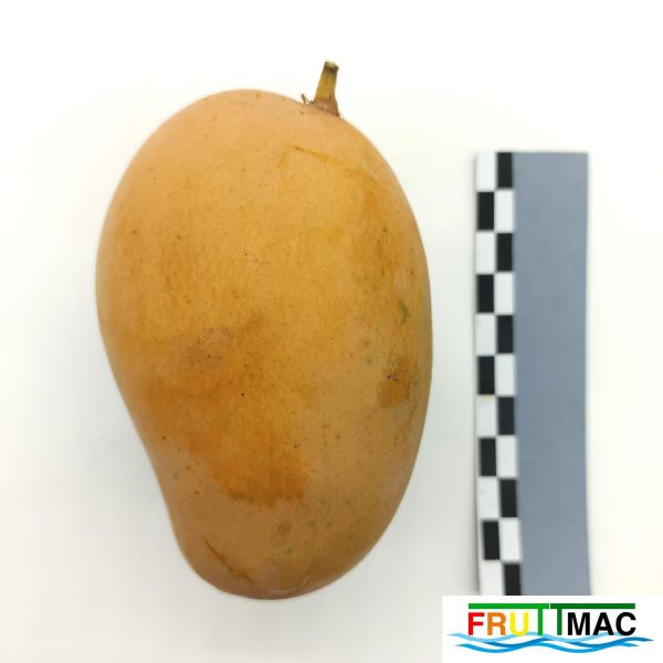 Archivo:621imageIMG 20230811 114020(2).jpg