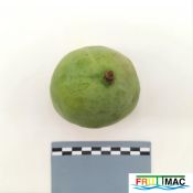 628imageIMG 20230803 144004 (2).jpg