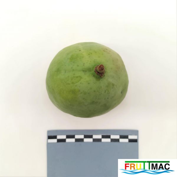 Archivo:628imageIMG 20230803 144004 (2).jpg