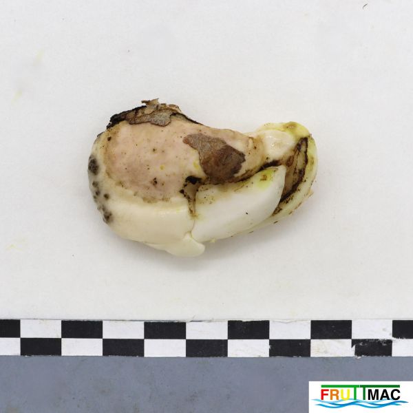 Archivo:628imageIMG 8223.1.JPG