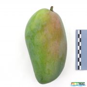 631imageIMG 1066.JPG