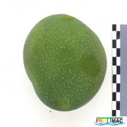 72imageIMG 6789(1).JPG