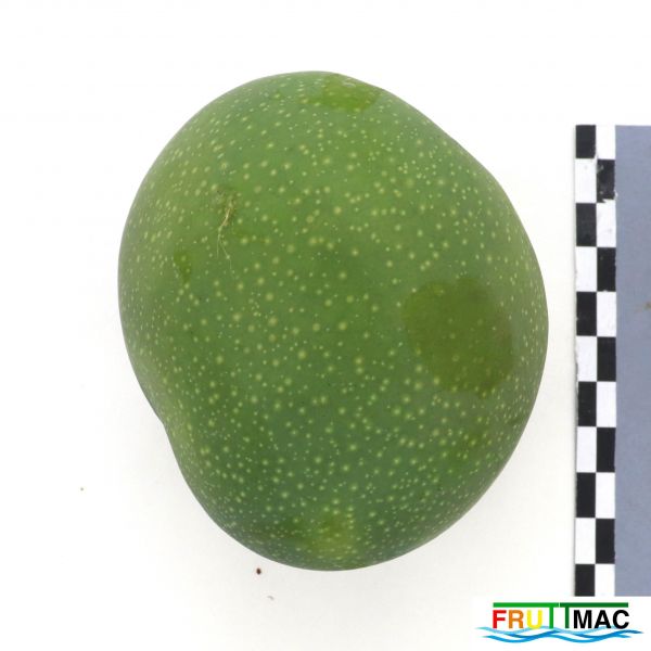 Archivo:72imageIMG 6789(1).JPG