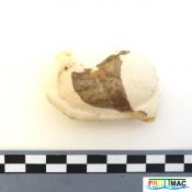 137imageIMG 20220927 140410.jpg