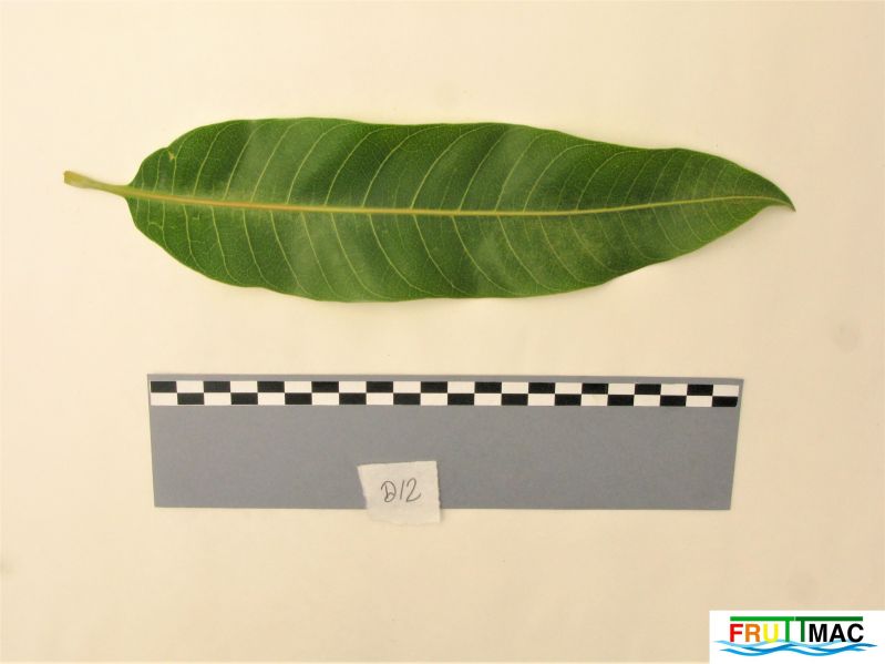 Archivo:112imageIMG 0542 (2).JPG