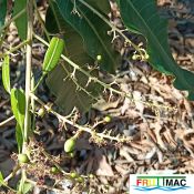 625imageIMG 20241230 123624.44.jpg