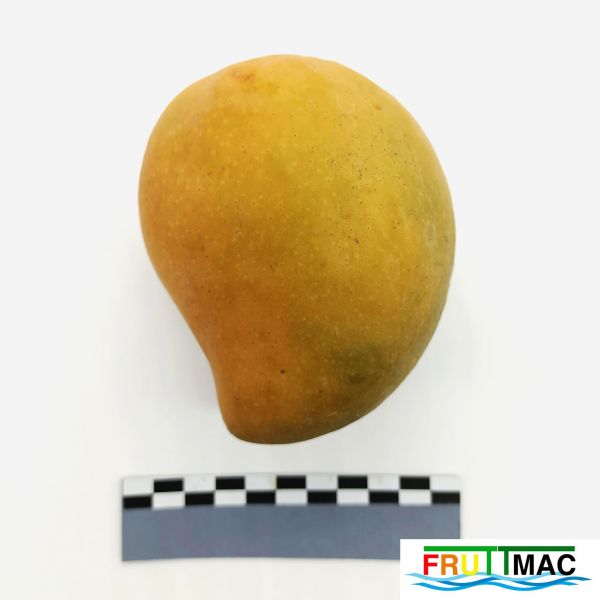 Archivo:68imageIMG 20230811 132442(2).jpg