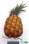 934imageIMG 6038.JPG