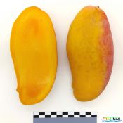 619imageIMG 20230807 121041 (2).jpg