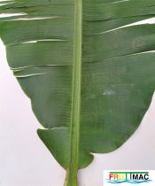 177imageIMG 20230125 120516 (3).jpg